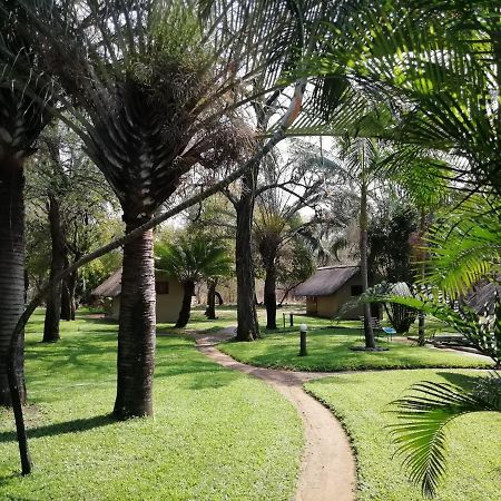 Villa Shumba Safari Bush Camp à Hoedspruit Extérieur photo