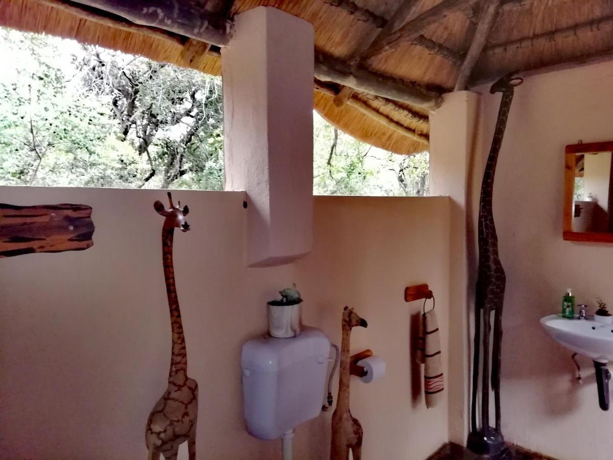 Villa Shumba Safari Bush Camp à Hoedspruit Extérieur photo