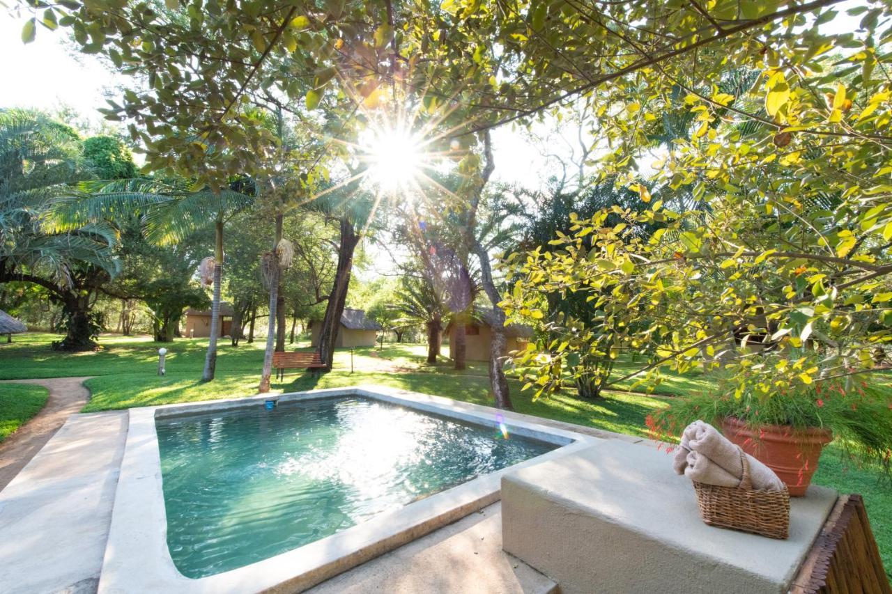 Villa Shumba Safari Bush Camp à Hoedspruit Extérieur photo