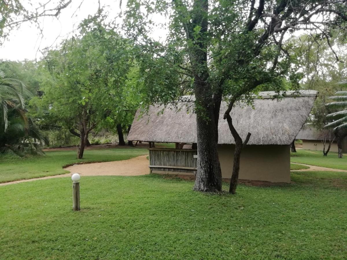Villa Shumba Safari Bush Camp à Hoedspruit Extérieur photo