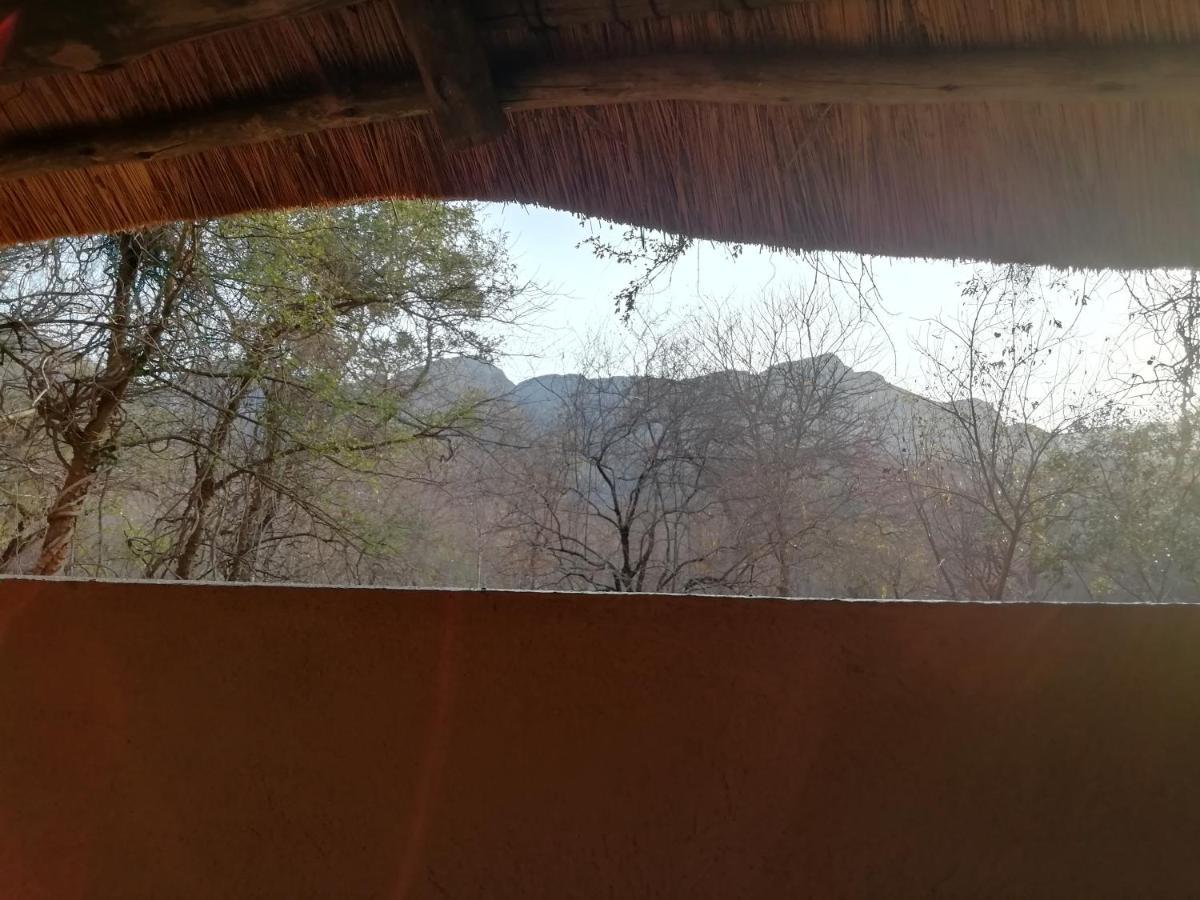 Villa Shumba Safari Bush Camp à Hoedspruit Extérieur photo
