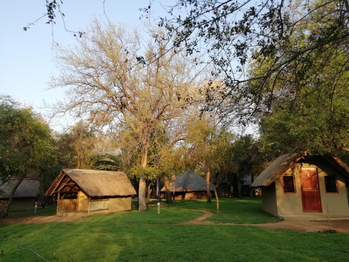 Villa Shumba Safari Bush Camp à Hoedspruit Extérieur photo
