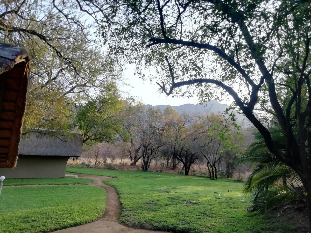 Villa Shumba Safari Bush Camp à Hoedspruit Extérieur photo