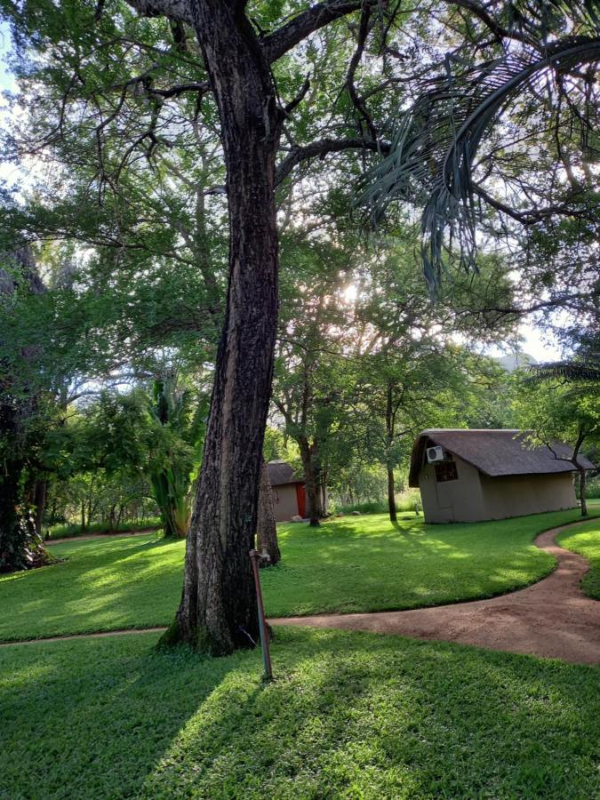 Villa Shumba Safari Bush Camp à Hoedspruit Extérieur photo