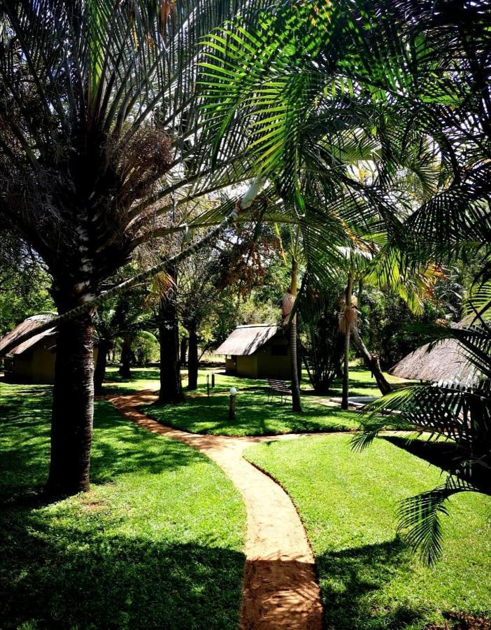 Villa Shumba Safari Bush Camp à Hoedspruit Extérieur photo