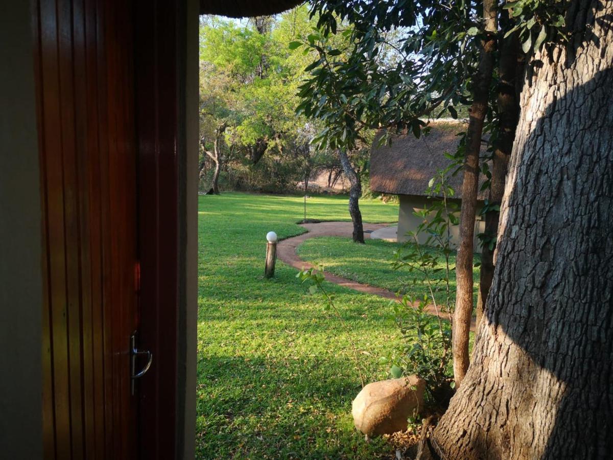Villa Shumba Safari Bush Camp à Hoedspruit Extérieur photo