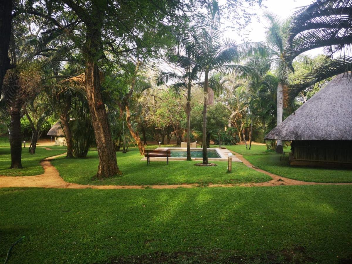 Villa Shumba Safari Bush Camp à Hoedspruit Extérieur photo